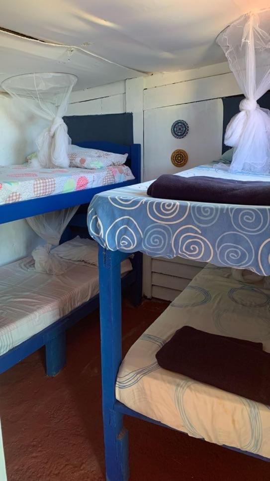 Green House Hostel كابو بولونيو الغرفة الصورة