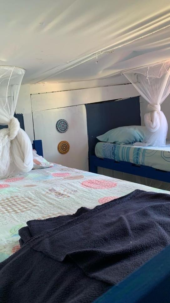 Green House Hostel كابو بولونيو الغرفة الصورة