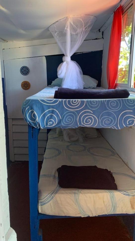 Green House Hostel كابو بولونيو الغرفة الصورة